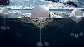 ابتکار جالب معمار ایرانی برای نجات پنگوئن‌ها/ عکس