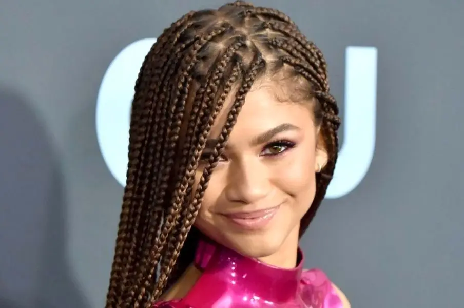 "زندایا" وارد رقابت اسکار شد/ دورخیز خانم بازیگر برای مجسمه طلایی