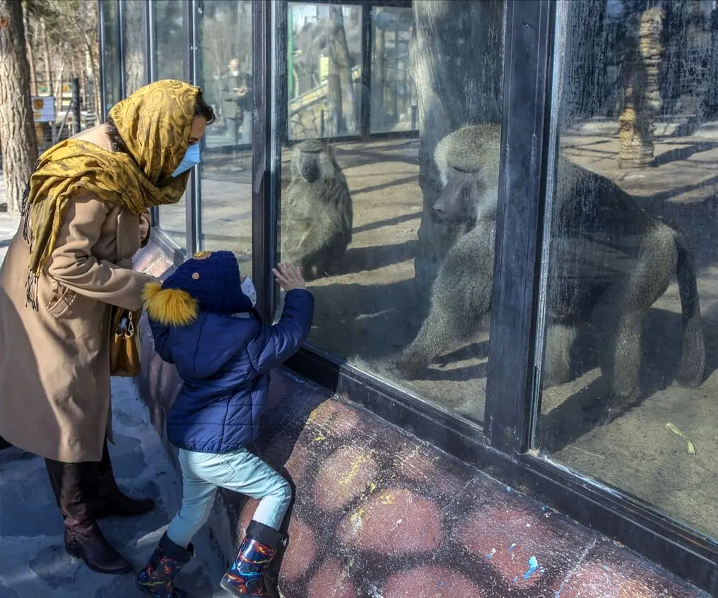 بازگشایی باغ‌وحش ارم تهران