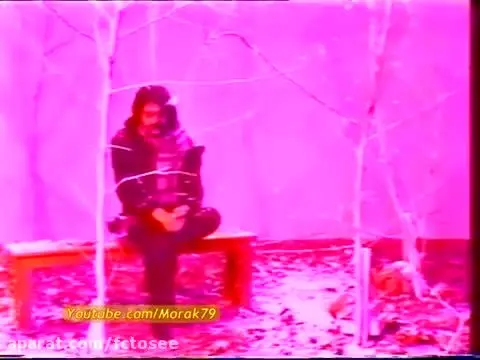 ویدئوی معروف‌ترین آهنگ ایرانی در جهان/ گل یخ کوروش یغمایی ۵۰ ساله شد