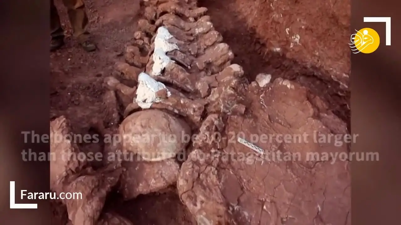 کشف بقایای بزرگترین دایناسور روی زمین/ ویدئو