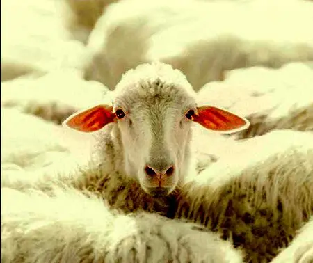 عکس‌هایی که حتماً باید ببینید