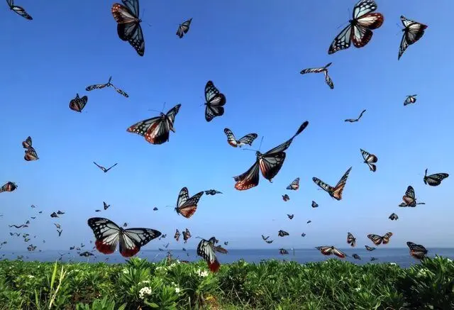 جهان به روایت عکس های منتخب گاردین
