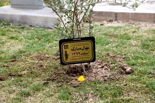 در سینما و تئاتر چه خبر است؟