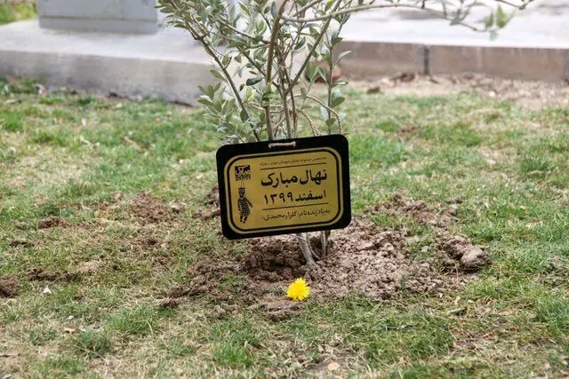 در سینما و تئاتر چه خبر است؟