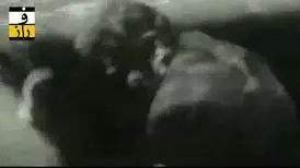 قیصر چگونه ساخته شد؟!