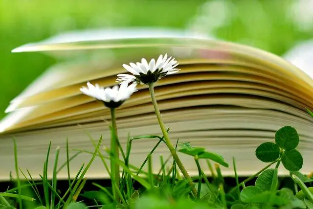 بهاریه ها؛ شعرهایی در وصف بهار