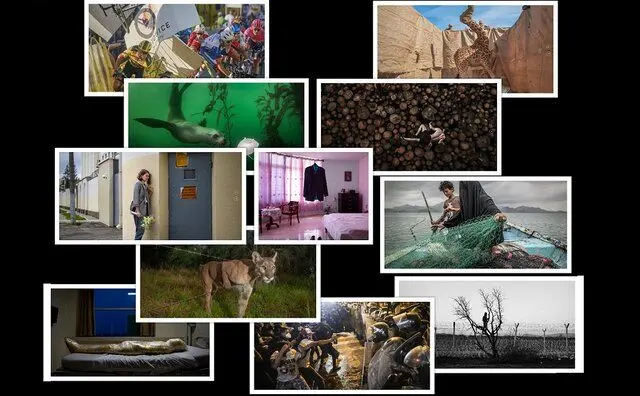 نگاهی به جذاب ترین عکس های خبری نامزد «وردلدپرس»