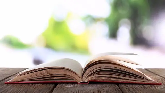 شاعری معروف فقط با سه بیت!