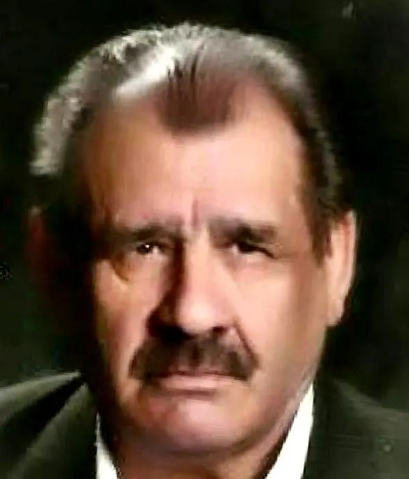 عبدالحسین شاکرمی درگذشت