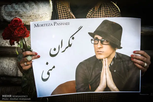 ماهی که با صدای مرتضی پاشایی «عسل» شد/ نگران منی که نگیره دلم...