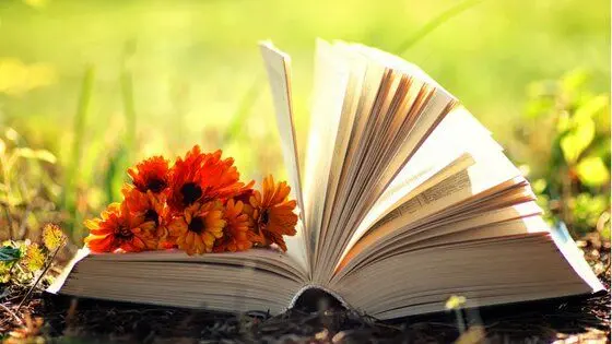 «بهارانه کتاب» در راه است