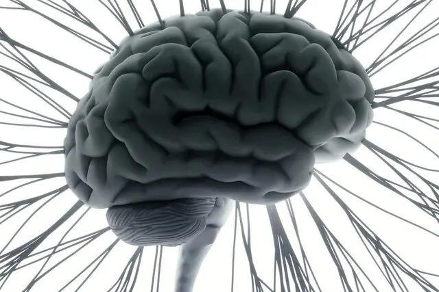 شگفتی‌های مغز  در مواجهه با موسیقی