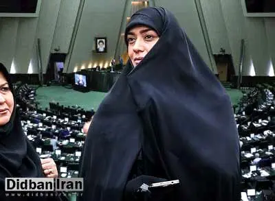 رایزنی الهام چرخنده درباره طرح افزایش جمعیت