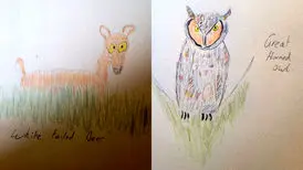 خلاقیت جالب عکاس کانادایی وقتی که دوربینش از کار افتاد/ عکس