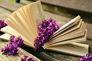 بهترین شاهکارها و کتاب هایی که توسط زنان نوشته شده است