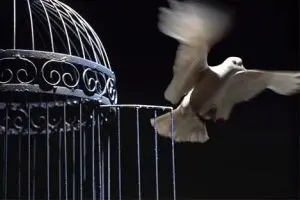 داستان کوتاه قفس صادق چوبک