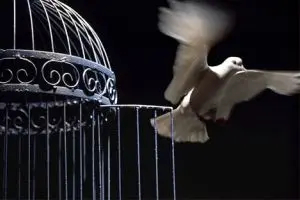 داستان کوتاه قفس صادق چوبک