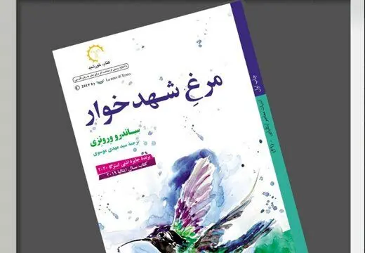 مرغ شهدخواری که سوار زمان می‌شود