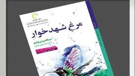مرغ شهدخواری که سوار زمان می‌شود