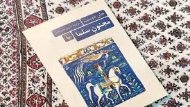 ترجمه رمان «مجنون سلما» منتشر شد