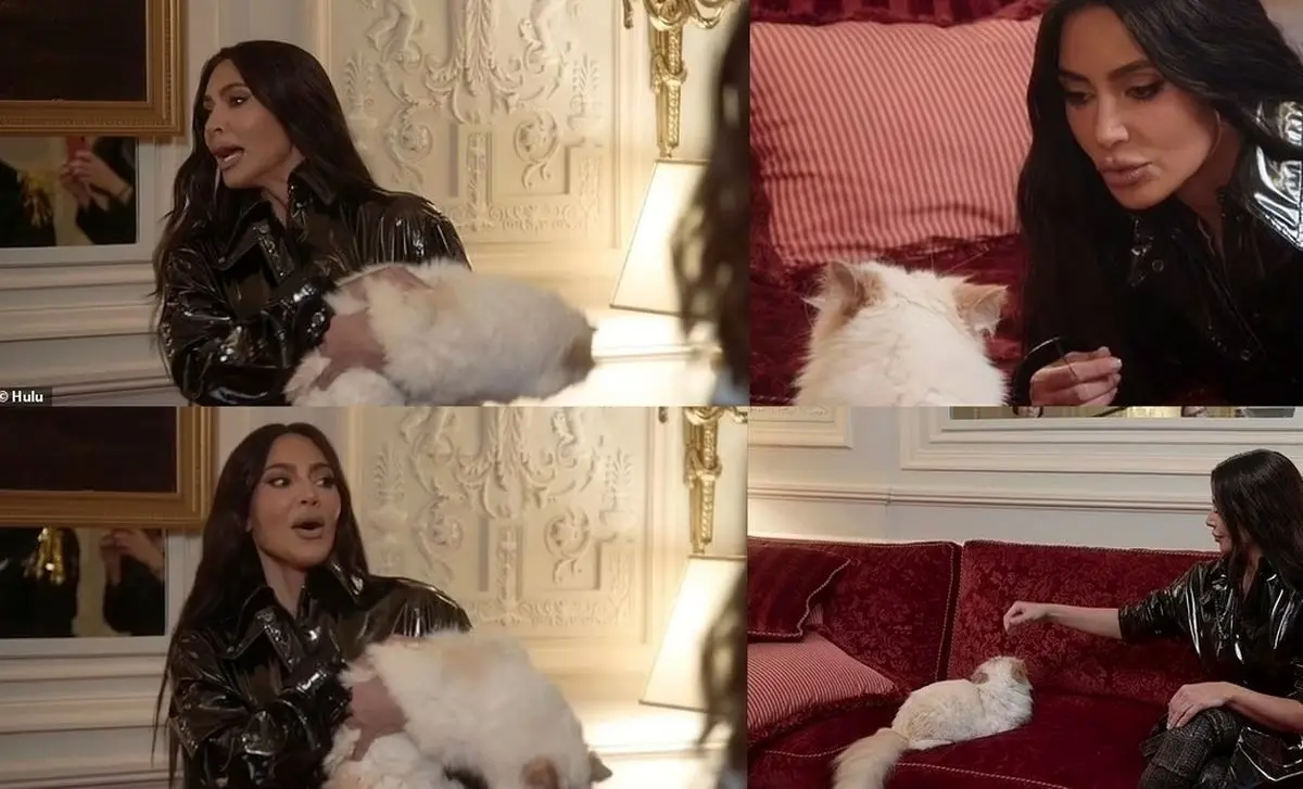 حمله ثروتمندترین گربه جهان به کیم کارداشیان/ ویدئو
