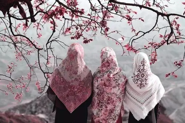 نماینده پرنسس‌های دیزنی در اینستاگرام/  بلاگرهای با حجاب ولی لوند!