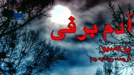 معرفی کتاب آدم‌برفی / ناپدید شدن مرموز ۱۱ زن در اولین برف سال
