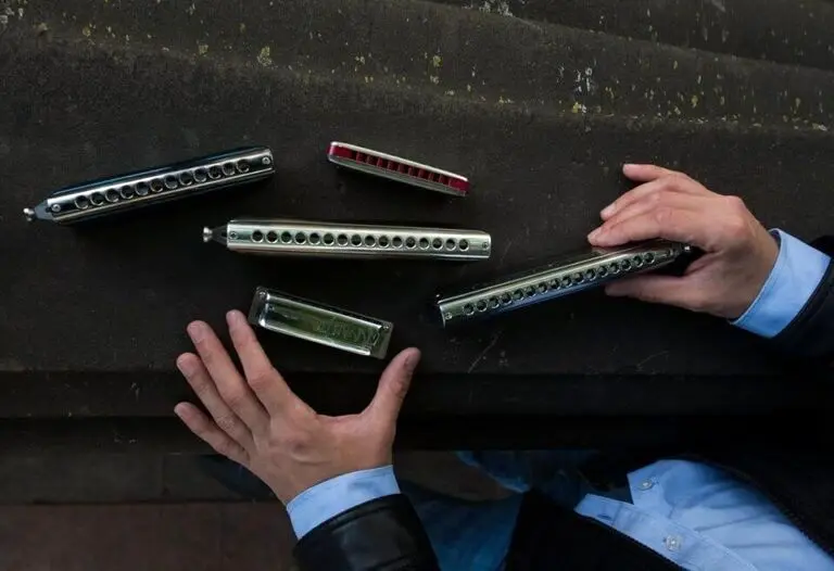 انتخاب بهترین سازدهنی برای یادگیری از نگاه حرفه ای ها