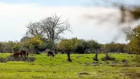 بازهم درگیری دو سازمان دولتی در میانکاله
