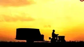 هفت فیلم استثنایی که روح شما را نوازش می‌کنند
