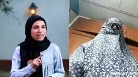 «امپراطور کوزکو» به ۲ سال حبس محکوم شد
