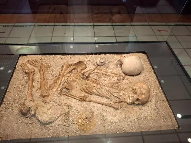 اسکلت ۳۲۰۰ ساله یک زن از دوران آهن در مازندران کشف شد