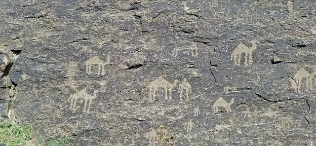 کشف آثار باستانی در دشت کرمان/عکس