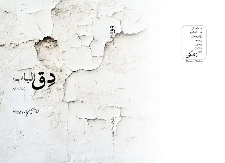 مجموعه شعری در باب «دِق» منتشر شد