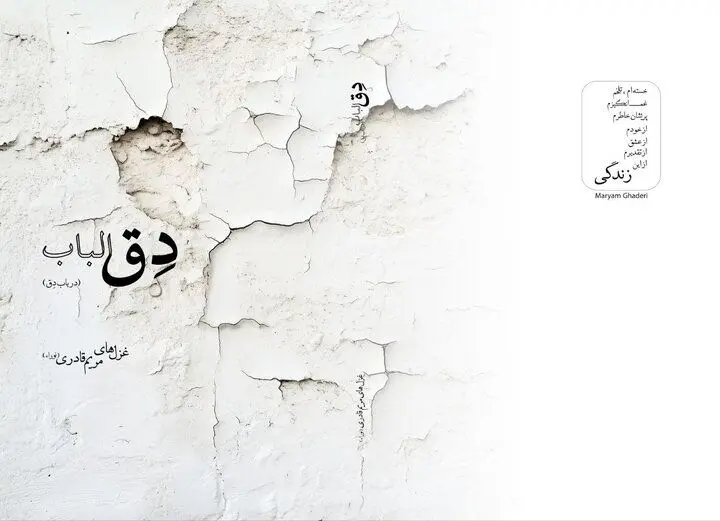 مجموعه شعری در باب «دِق» منتشر شد