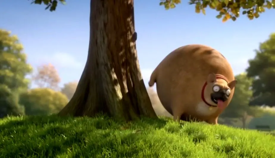 اگر حیوانات گرد بودند