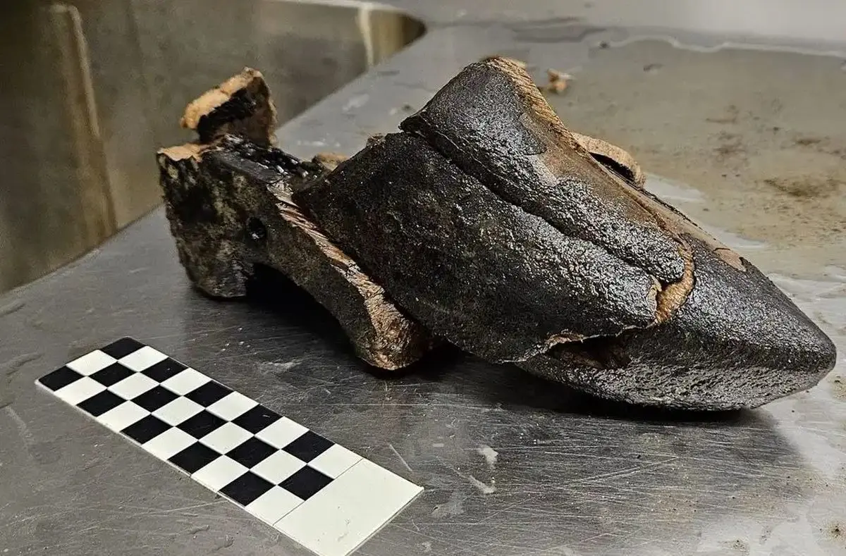 کشف یک «کفش» استثنایی 500 ساله در «چاه توالت»
