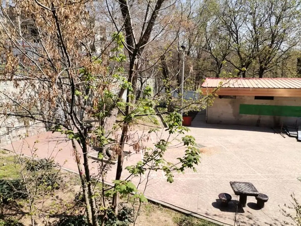 حصار پارک قیطریه برداشته شد
