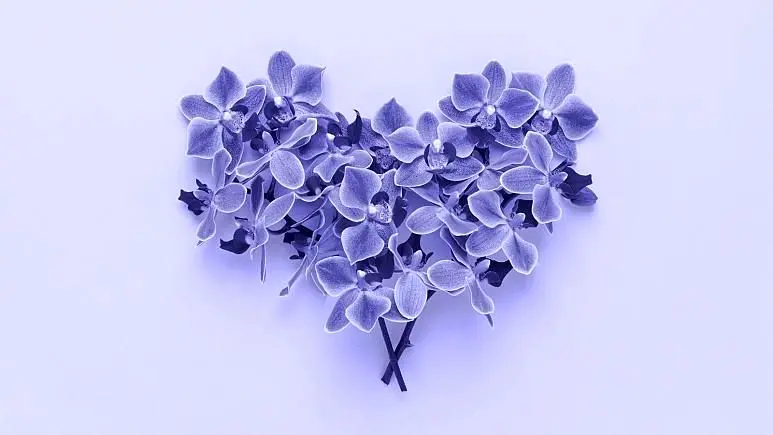 رنگ سال ۲۰۲۲ چیست و دلیل انتخاب آن چه بوده است؟