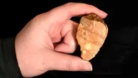 کشف ابزارهای سنگی کهن یک میلیون ساله