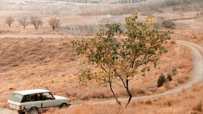 دیالوگ های تکان دهنده طعم گیلاس درباره خودکشی و مزه زندگی