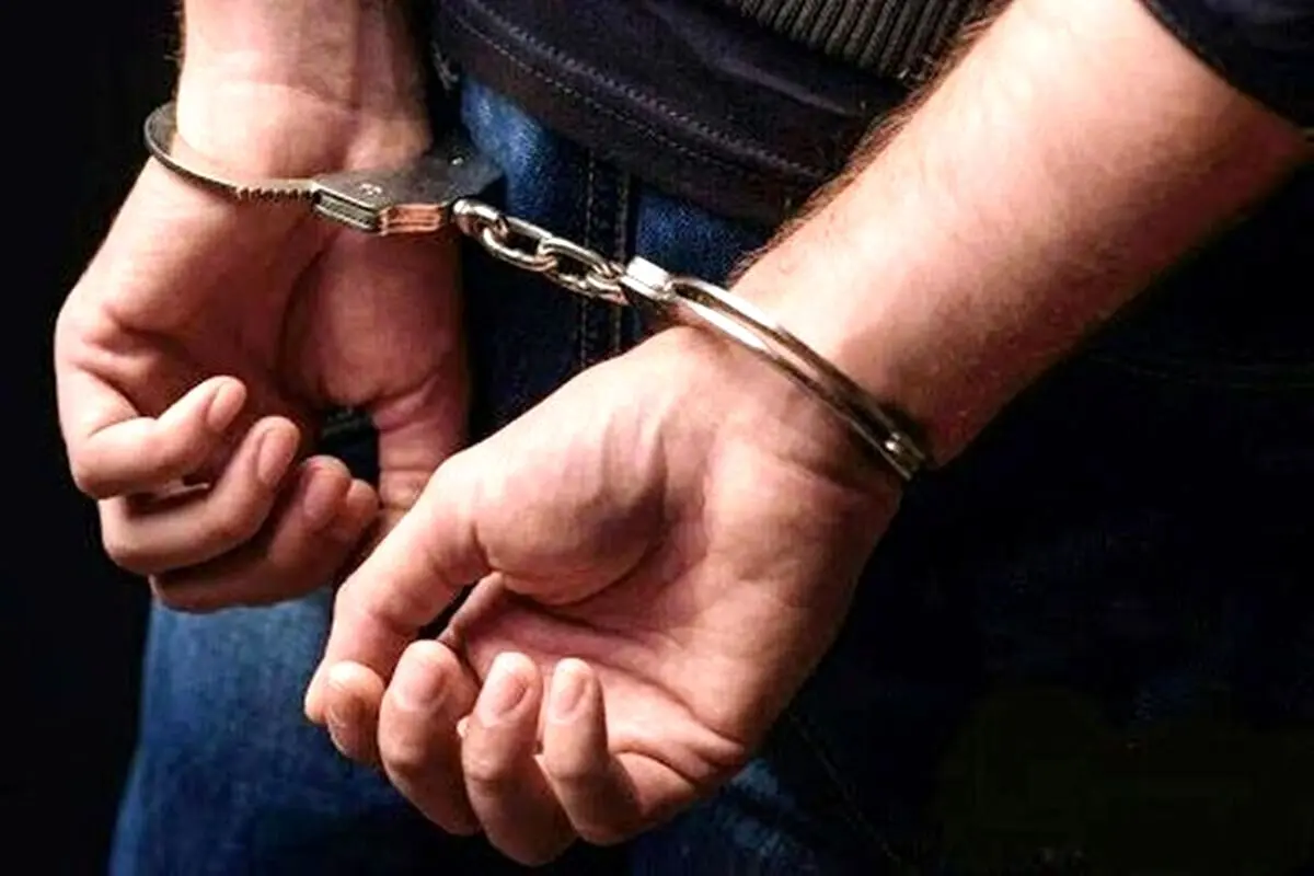 مدیرعامل پیام‌رسان سروش بازداشت شد
