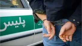 بازیگر ناراحت چرا دستگیر شد؟/ تهدید به خودکشی هم فایده نداشت/ دعوت به آشوب با رژ لب و تاپ زنانه
