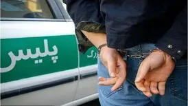 بازیگر ناراحت چرا دستگیر شد؟/ تهدید به خودکشی هم فایده نداشت/ دعوت به آشوب با رژ لب و تاپ زنانه
