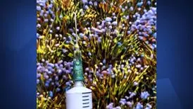 خلق تابلوهای خیره کننده با کمک سرنگ
