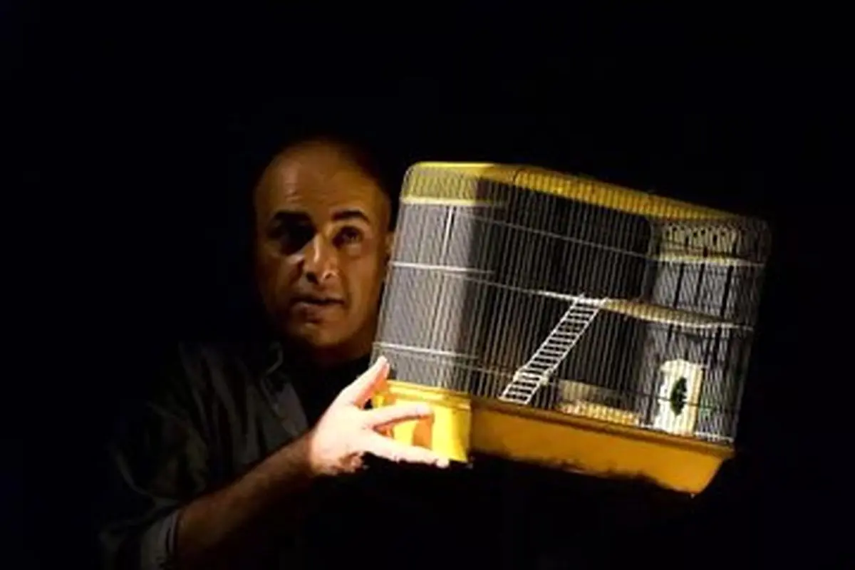 یک سرقت ادبی از کارگردان مشهور/ «سایه روشن» فرزند ۱۱ ساله من است
