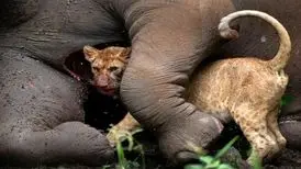 برندگان مسابقه عکاسی سفر در سال ۲۰۲۳
