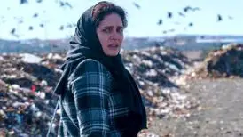 گاف زاکانی روی آنتن زنده درباره سینمای اجتماعی
