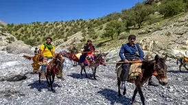 درباره ایران‌هراسی کاری نکردیم/چرا نمی‌شود سمت حیات وحش کشور رفت؟